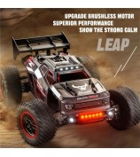 SG316 MAX 1:16 4WD Remote Control Climbing Truck Brushless Off-Road RC Car with LED Light