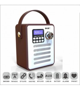 Portable DAB-H6 Wood DAB Digital Radio Player Bluetooth MP3 Player Support TF Card and Flash Disk