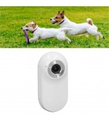 Cat Camera Collar with Video Record Wireless Mini Sport Camera Body Camera for Cat / Dog