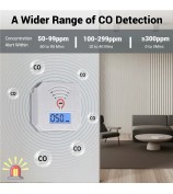 Mini Carbon Monoxide Detector with LCD Display Home Safety CO Alarm Sensor - Style A