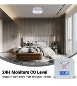 Mini Carbon Monoxide Detector with LCD Display Home Safety CO Alarm Sensor - Style A