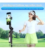 CL10 1.8m Gesture Tracking Tripod 3-Color Fill Light Selfie Stick with Remote Control - Black