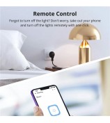 SONOFF S60TPG iPlug WiFi Smart Plug Home Appliances Control Plug, Type G