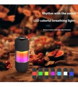 BT2676 PLUS Waterproof Bluetooth 5.3 Outdoor Speaker with Dual 10W Drivers and Powerful Bass