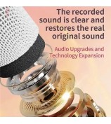 C20 Plus Home Karaoke Wireless Bluetooth Speaker Support TF Card, with Microphone - Beige