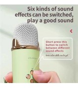 C20 Plus Home Karaoke Wireless Bluetooth Speaker Support TF Card, with Microphone - Beige