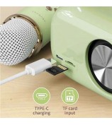 C20 Plus Home Karaoke Wireless Bluetooth Speaker Support TF Card, with Microphone - Beige
