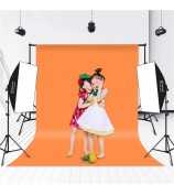 PULUZ PKT3134 2Pcs 50x70cm Softbox + 8x E27 LED Light Bulb + 2 x Tripod Stand Photography Kit Set - EU Plug