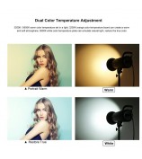 PULUZ PKT3108 Photography Kit Set 3200K-5600K 150W Video Light with Softbox Remote Control Light Holder - AU Plug