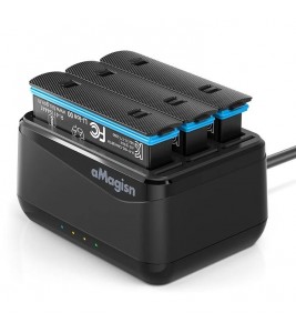 AMAGISN For Insta360 X4 Sports Camera 3-Slot Battery Charging Hub Memory Card Storage Case (No Battery)