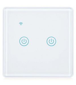 DS-101JL-2 2 Gang WiFi + Bluetooth Dual Mode APP Voice Control Smart Touch Wall Switch - White