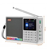 GTMEDIA D2 Digital Radio Receiver DAB+FM RDS Bluetooth MP3 Player REC Recorder TF Card Support