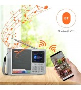 GTMEDIA D2 Digital Radio Receiver DAB+FM RDS Bluetooth MP3 Player REC Recorder TF Card Support
