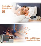 GTMEDIA D2 Digital Radio Receiver DAB+FM RDS Bluetooth MP3 Player REC Recorder TF Card Support