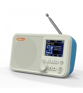 2.4 inch Screen Digital Radio Bluetooth Speaker TF Card MP3 Player DAB FM Radio - Blue/DAB-C10